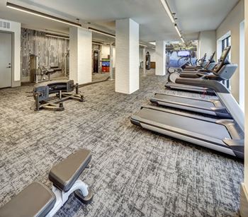 A gym with treadmills, elliptical machines, and a weight bench at Arise Riverside Apartments, Austin, TX, 78741